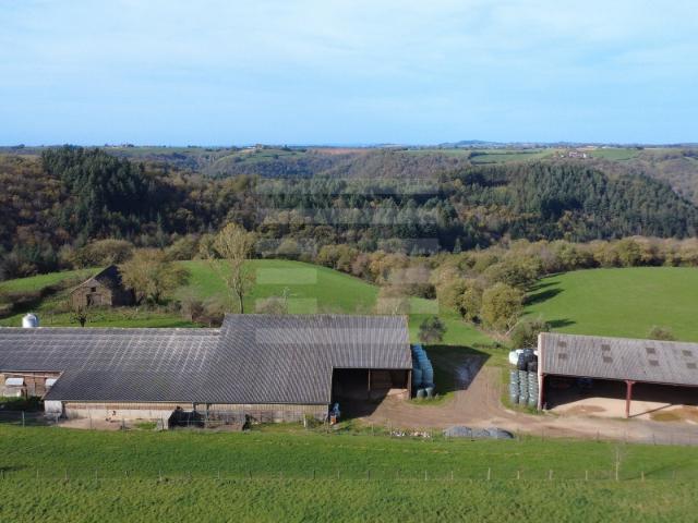 Maison vente à Albi, Courris
