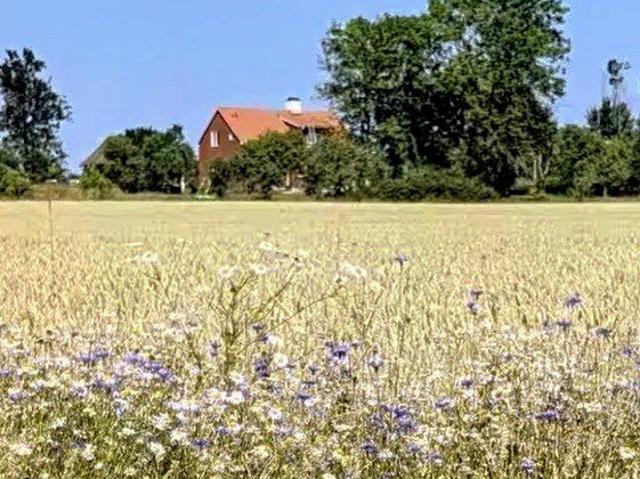 Hus hyra i Övlingby, Tumbo