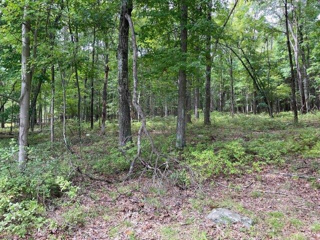 Land for sale in Stillwater Township, Sussex County