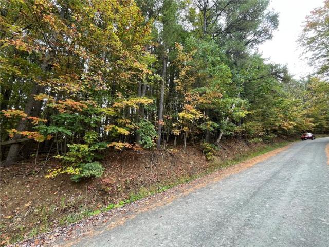 Land for sale in Nichols, New York