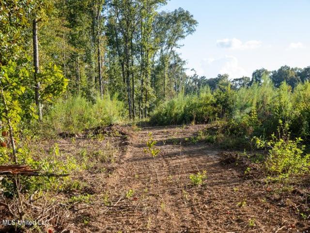 Land for sale in Puckett, Mississippi