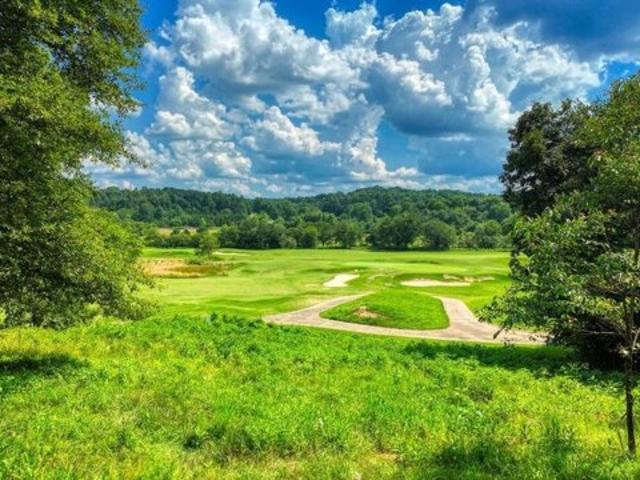 Land for sale in Blairsville