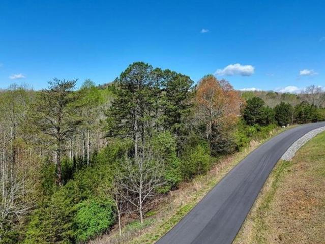 Land for sale in Blairsville