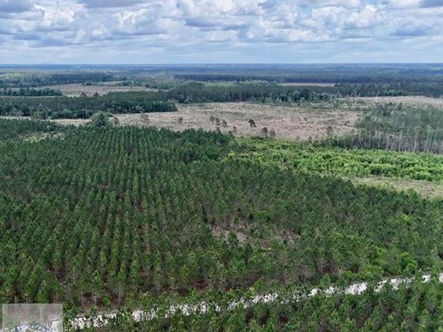 Land for sale in Odum, Georgia