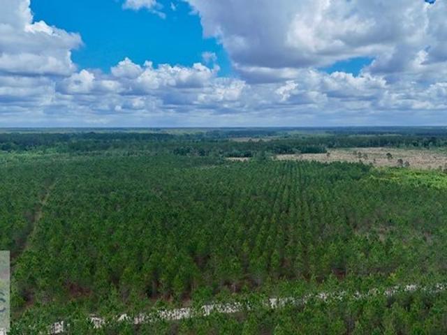 Land for sale in Odum, Georgia