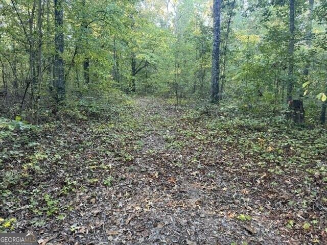 Land for sale in Adairsville, Bartow County