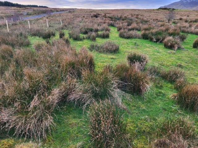 Property for sale in Mayo, Connacht