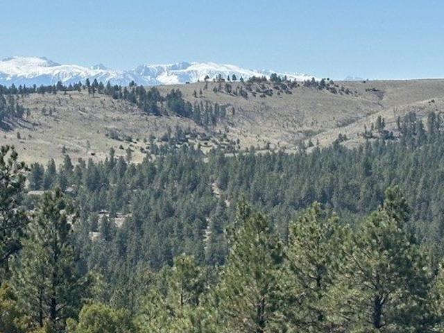 Land for sale in Columbus, Montana