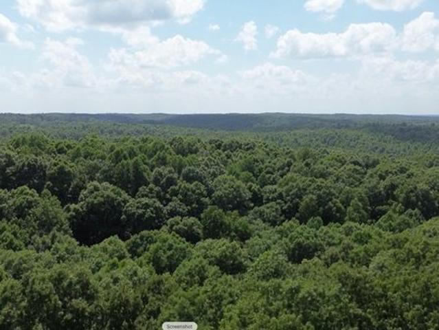 Land for sale in Tennessee