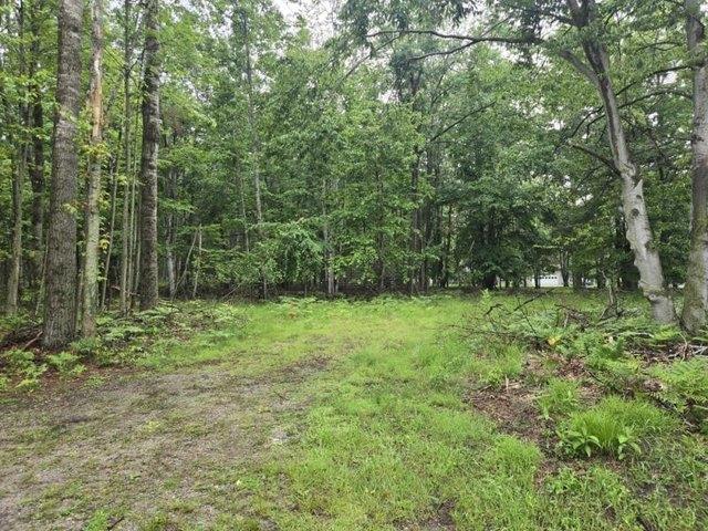 Land for sale in Lincoln, Michigan