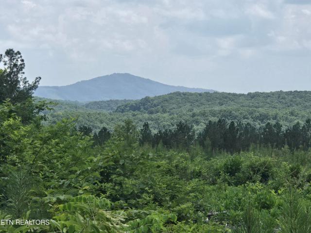 Land for sale in Tennessee