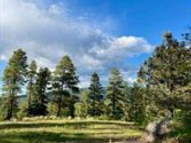 Land for sale in Chama, New Mexico