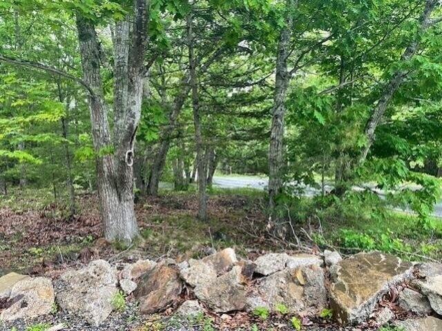 Land for sale in Owls Head, Maine