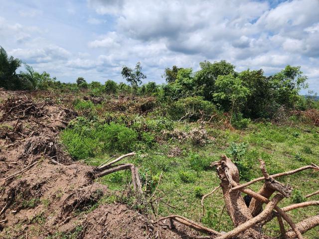 Land for sale in Odeda, Ogun