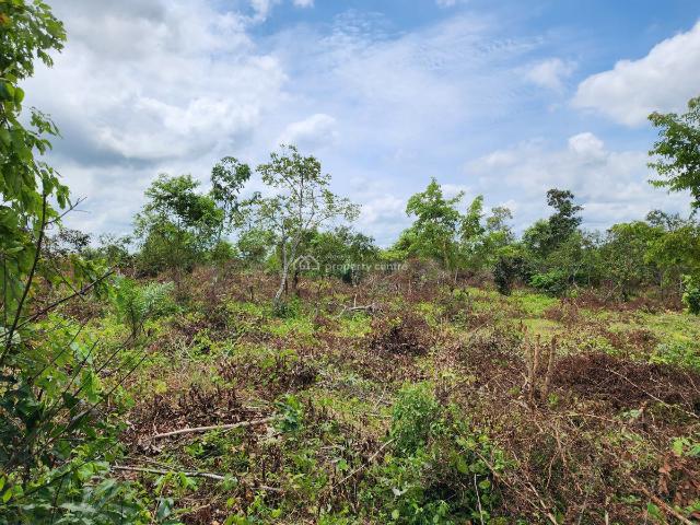 Land for sale in Odeda, Ogun