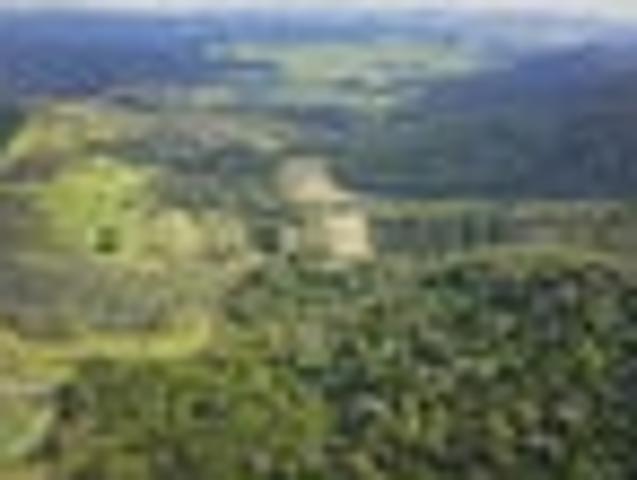 Land for sale in Fairburn, Northland