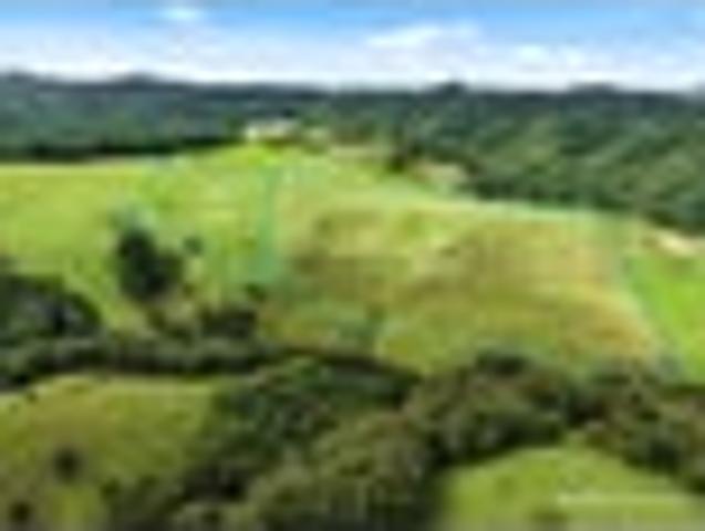 Land for sale in Kawau Island