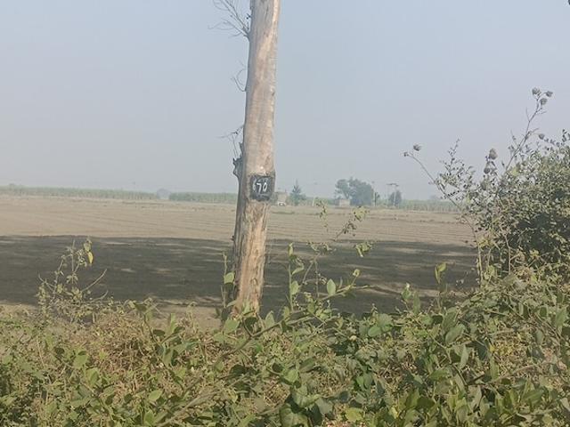 Land for sale in Hariana