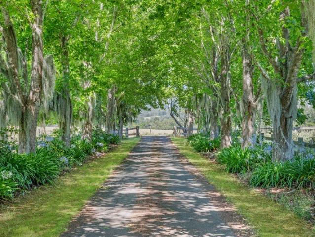 Property for sale in Hartys Plains, New South Wales
