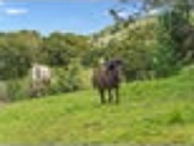 House for sale in Whangārei District, Northland