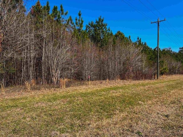 Land for sale in Quincy, Florida