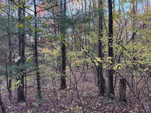 Land for sale in Barton, New York