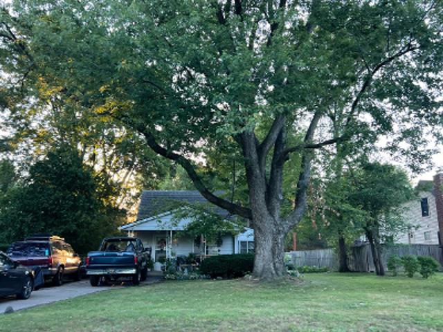 House for sale in Newman Joy Road Sub, Livonia