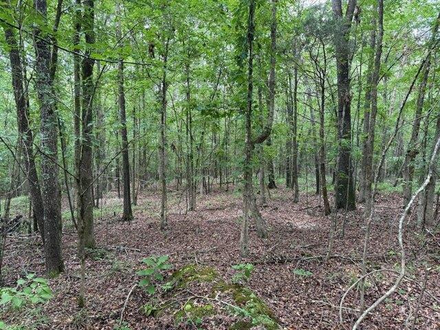 Land for sale in Oxford, Mississippi