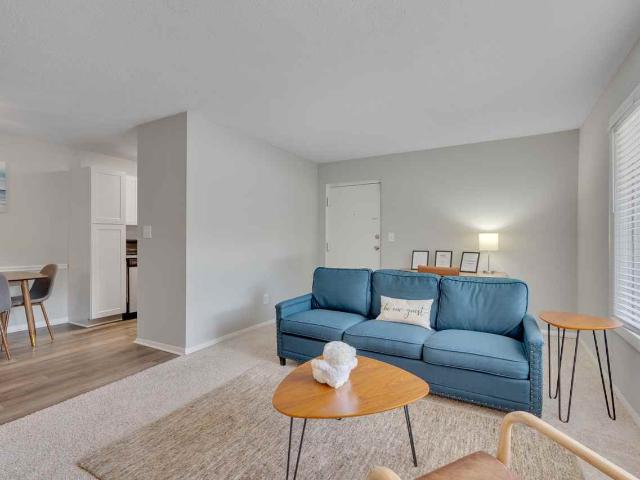 Apartment for rent in Wake, North Carolina