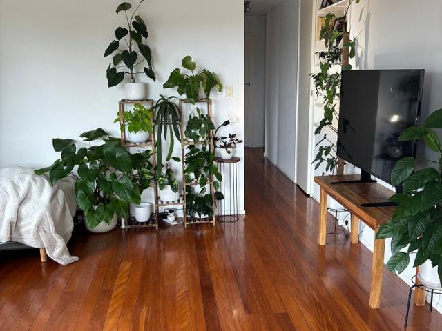 Room for rent in Toombul, Queensland