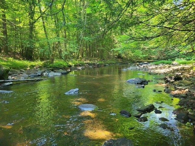 Land for sale in Willington