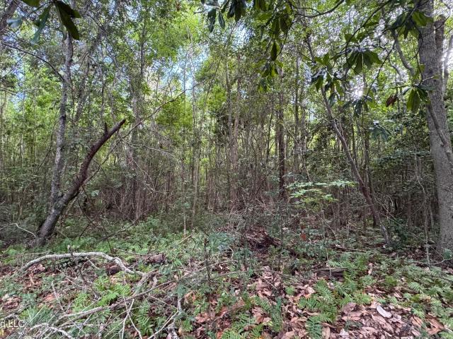 Land for sale in Ocean Springs, Mississippi
