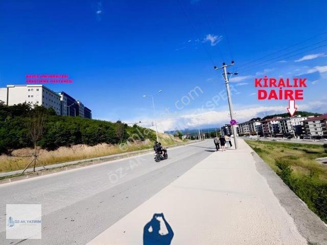 Yörük, Düzce Merkez içerisinde kiralık mülk