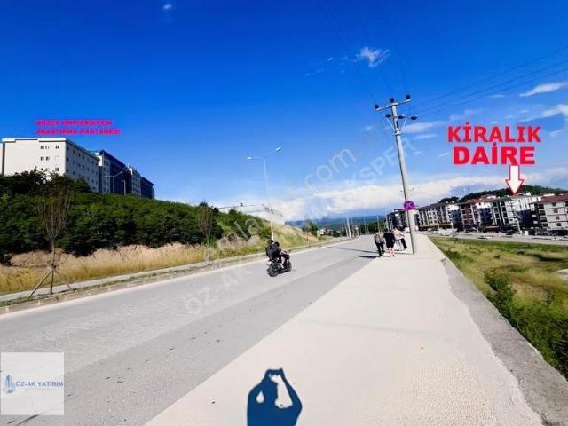 Düzce Merkez, Düzce içerisinde kiralık mülk