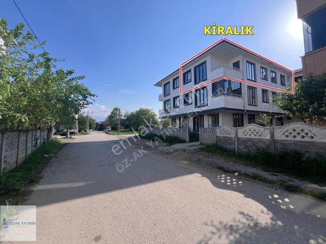 Düzce Merkez, Düzce içerisinde kiralık mülk