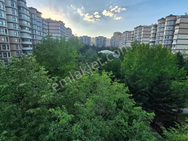 Selçuklu, Konya içerisinde kiralık mülk