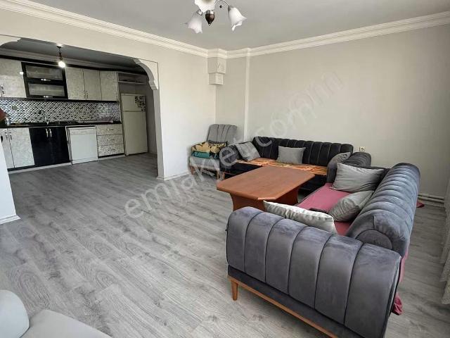Çarşamba, Samsun içerisinde kiralık mülk