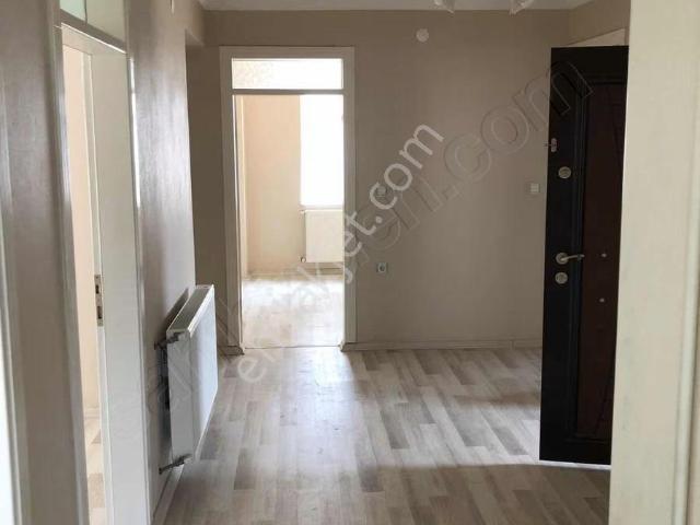 Çarşamba, Samsun içerisinde kiralık mülk