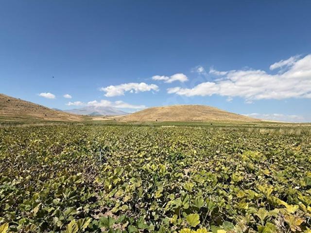Develi, Kayseri içerisinde satılık Arsa