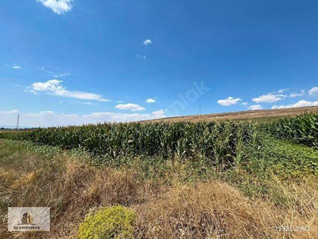 Develi, Kayseri içerisinde satılık Arsa