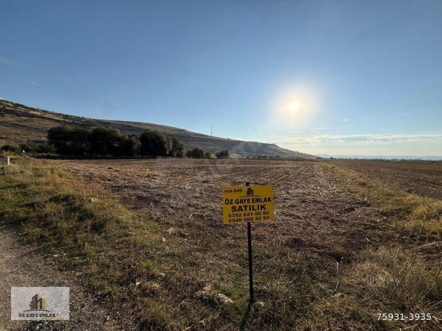 Gazi, Develi içerisinde satılık Arsa