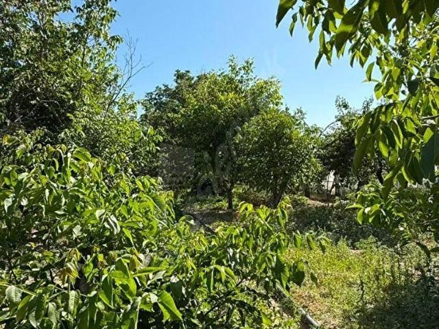Develi, Kayseri içerisinde satılık mülk