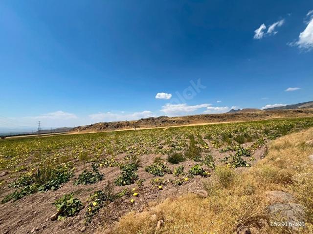 Develi, Kayseri içerisinde satılık Arsa