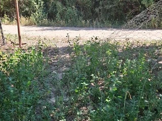 Bucak içerisinde satılık mülk