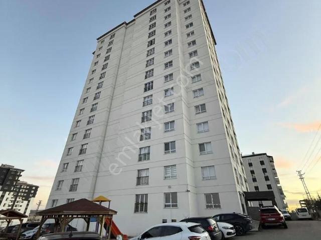 Sivas Merkez, Sivas içerisinde kiralık mülk