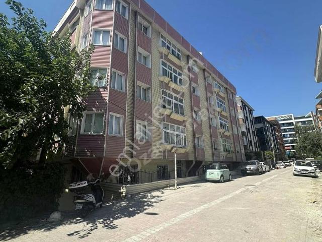 Avcilar, İstanbul içerisinde kiralık mülk