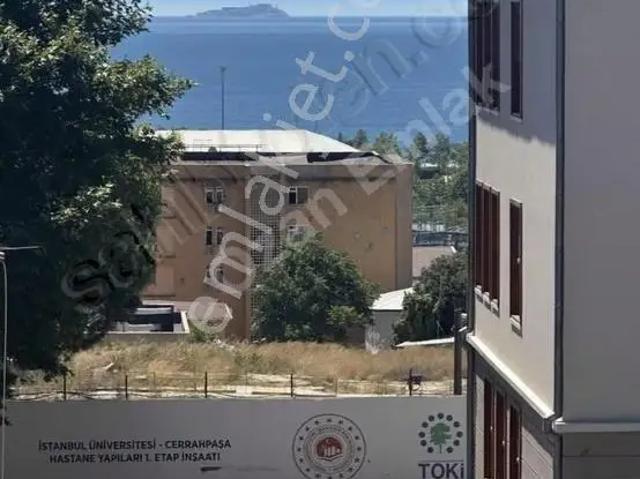 İstanbul Merkez, İstanbul içerisinde satılık mülk