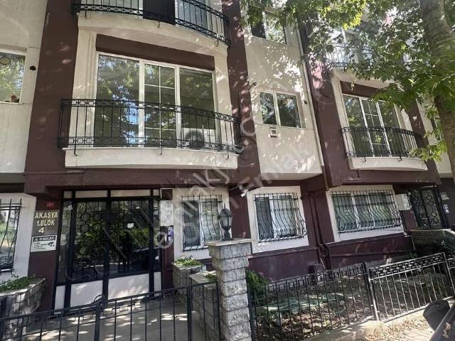 Avcilar, İstanbul içerisinde kiralık mülk