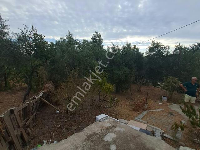 Söke, Aydin içerisinde satılık Villa