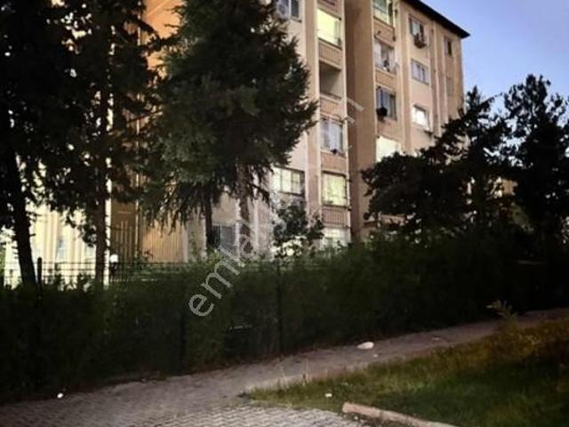 Aziziye Mahallesi, Yenişehir içerisinde kiralık mülk